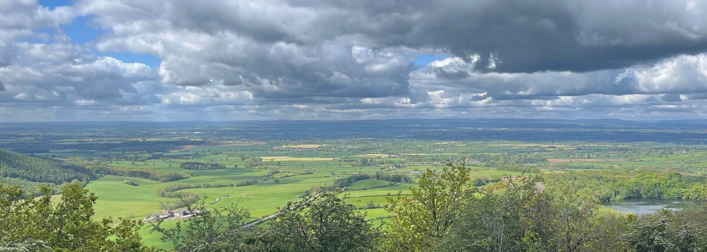 Pig View