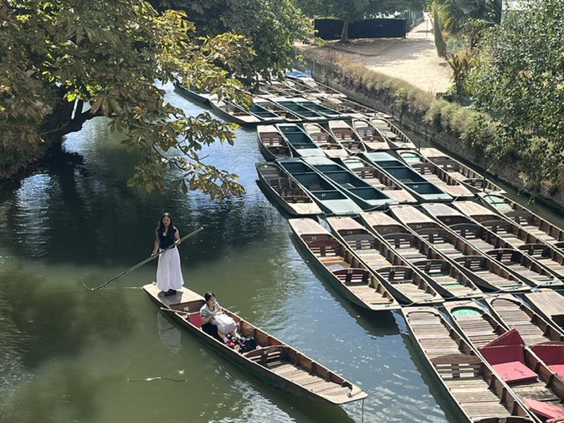 Ox Punting
