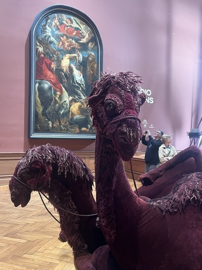 Ant Camels Rubens