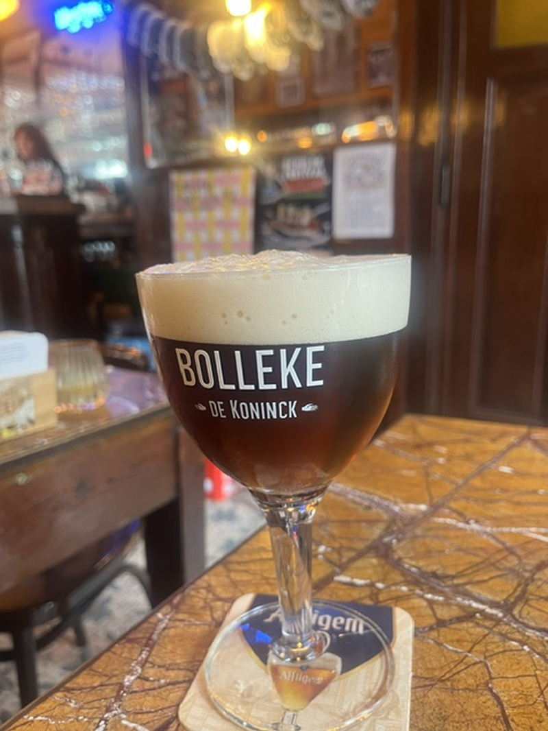 Ant Bolleke