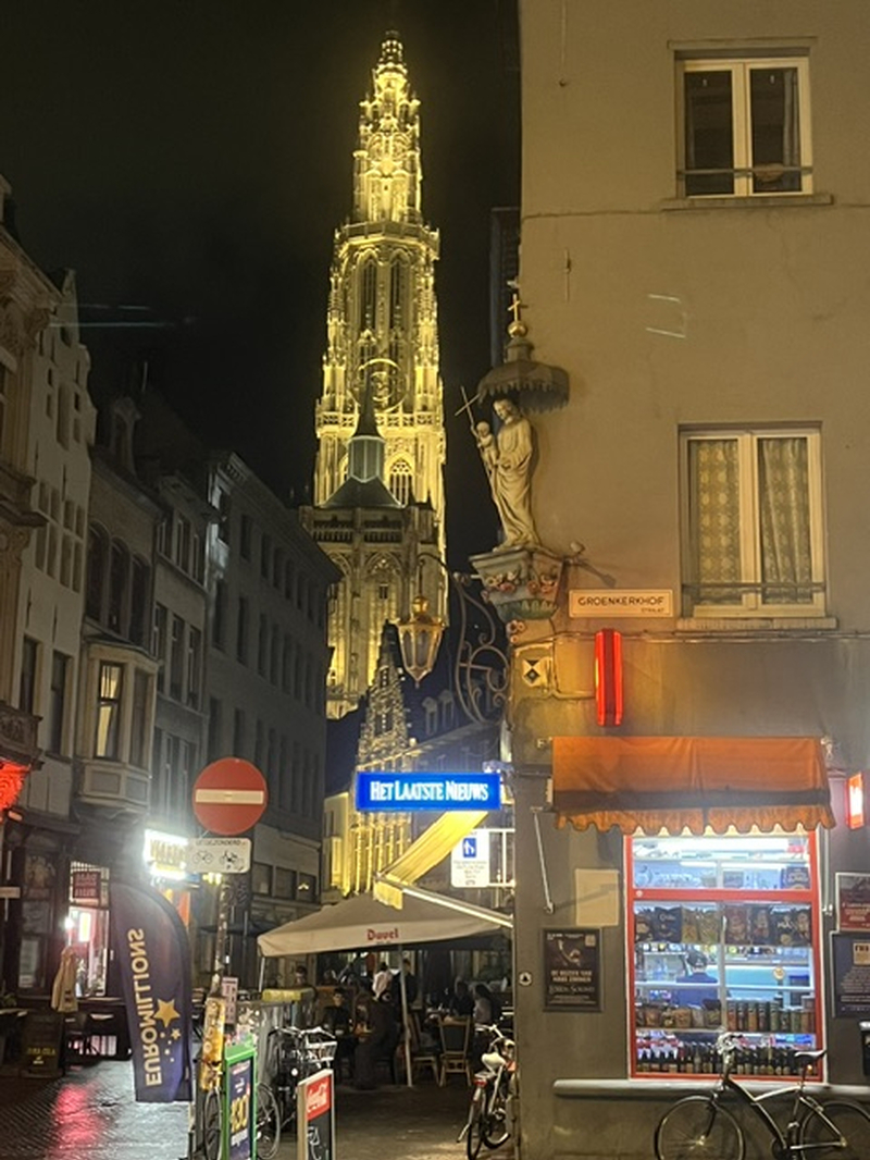 Ant Cath By Night