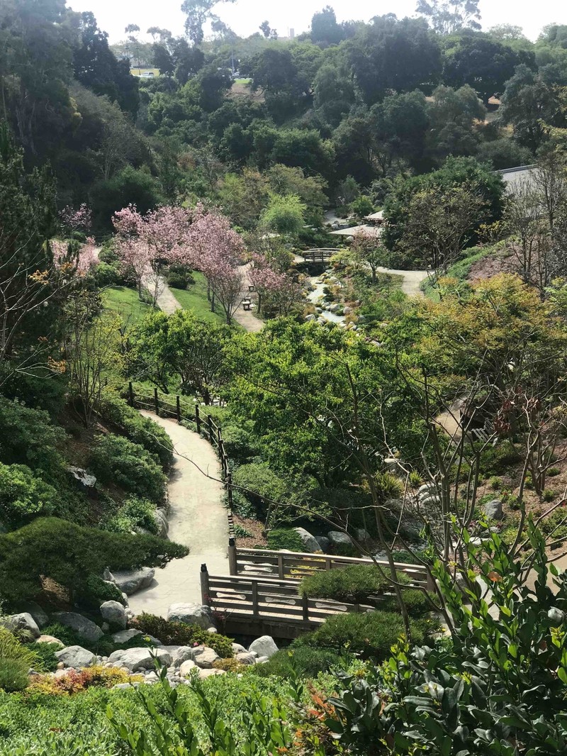 180510 Japanese Gardens