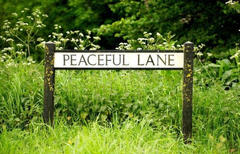 010117 Peaceful Lane