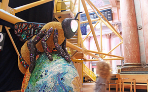 2018 07 22 Bee In The City 3