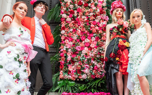 2020 02 27 Manchester Flower Show 2