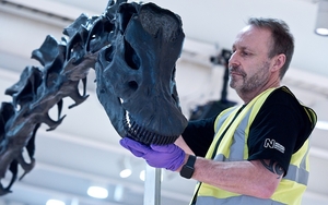 2020 02 07 Dippy Colin Davison