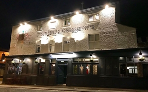 2020 01 09 Butterfly Grasshopper Exterior