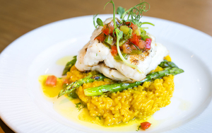 20170310 Don Giovannis Mothers Day Coda Di Rospo