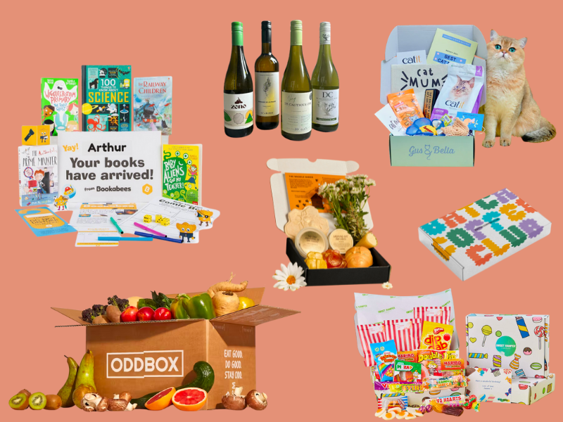 20 BEST SUBSCRIPTION SERVICES TO MAKE LIFE EASIER IN 2025 visual data 7