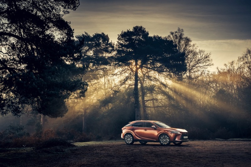 2025-09-17-Lexus-2.jpg#asset:1309394