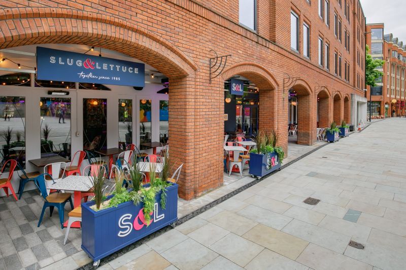 This City: No 10 of the North, the Martini tree, a pub, a park and Korean dilemmas