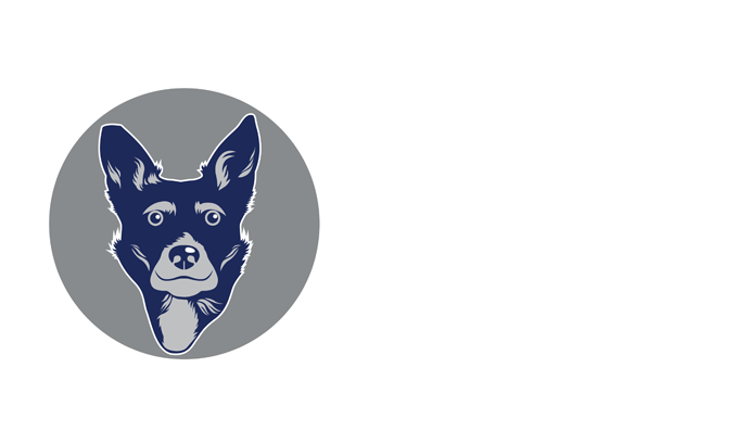 20210803 Bellas Pets Mast 679 Eml