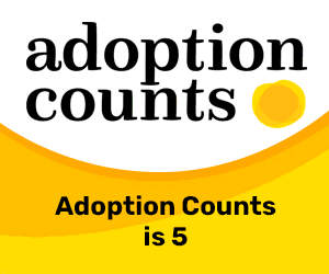2022 07 26 Adoption Counts Banners
