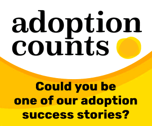 2022 10 13 Adoption Counts Adopter Banners