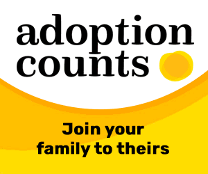 2023 03 24 Adoption Counts Banners