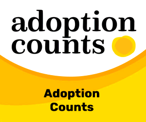 2023 08 03 Adoption Counts Banners
