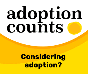2023 11 06 Adoption Counts Banners