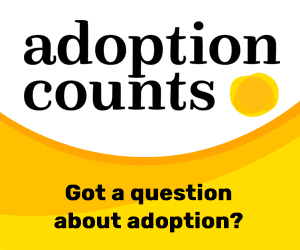2024 07 03 - Adoption Counts Your Questions Answered