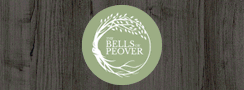 2024 02 - Bells of Peover
