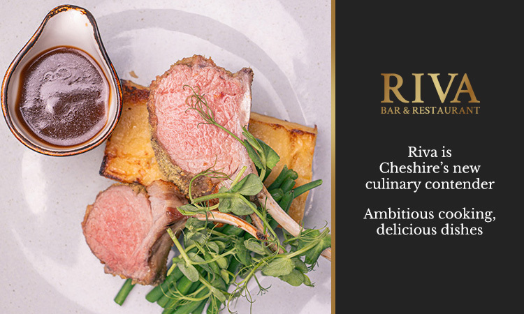 2026 03 16 - Riva Hale Banners