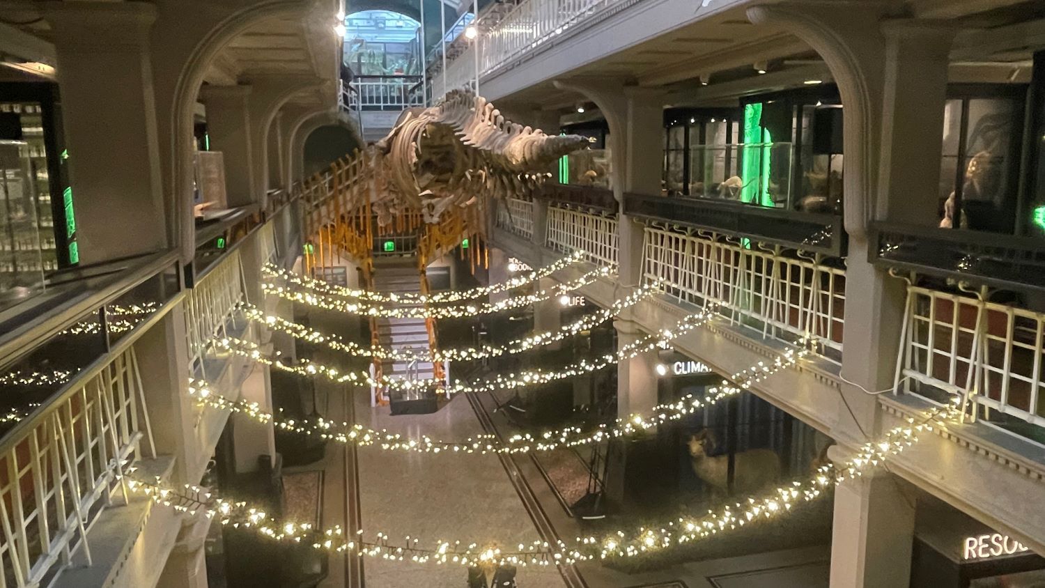 Manchester Moth Strange City (5): How Manchester’s moths proved Darwin right