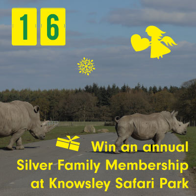 Win an annual Silver Family Membership at Knowsley Safari Park
